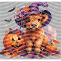 Halloween-WS 5794